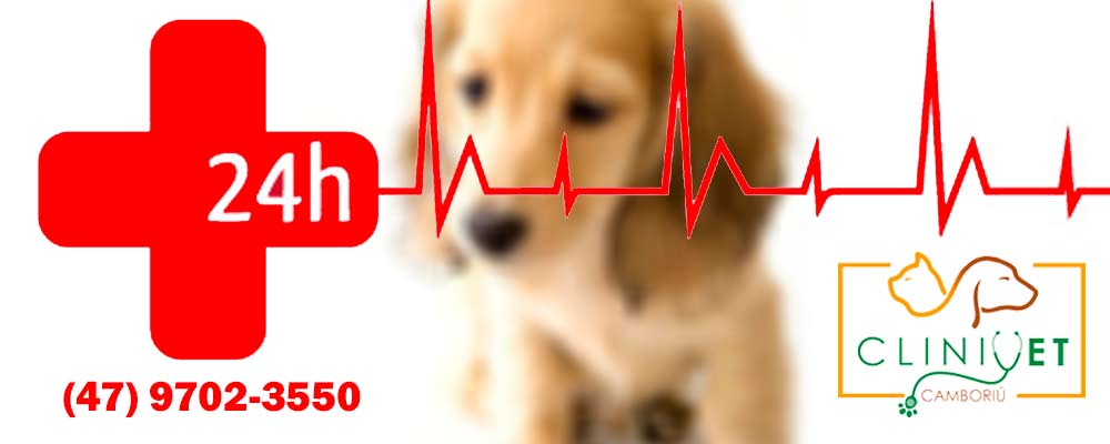 emergencia-veterinaria-clinivet-clinica-veterinaria-24-horas-camboriu-sc